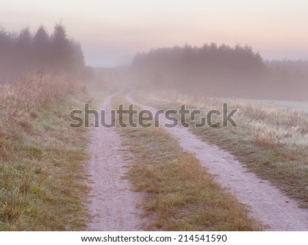 rural landscape of foggy morning on meadow