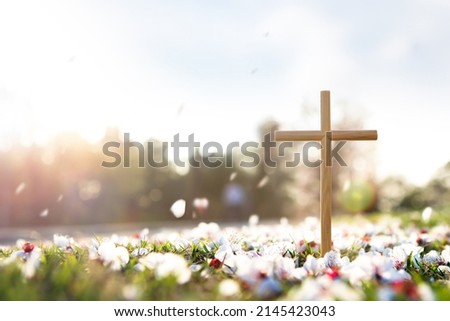 Cross symbolizing the death and resurrection of Jesus Christ, spring flowers, falling petals and bright sunlight
 Royalty-Free Stock Photo #2145423043