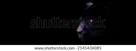 Template of a black jaguar with a black background