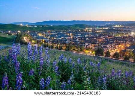 Spring Flowers Blossoming in San Ramon, Tri-valley, California Royalty-Free Stock Photo #2145438183