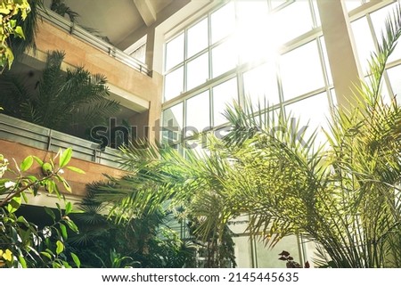 Green plants in botanical garden indoor. Sunshine in panoramic window. Fresh natural background. Royalty-Free Stock Photo #2145445635