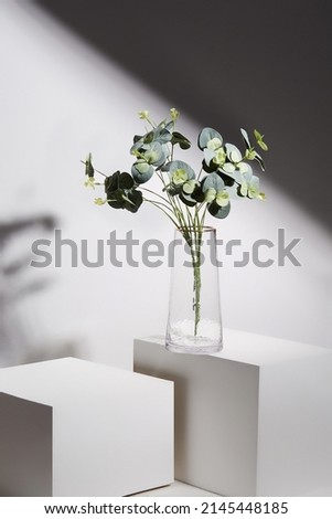 Still life photo of a transparent glass vase with a golden border. There is a green branch in the vase. The designer cone-shaped vase is located on the white surface against white wall.