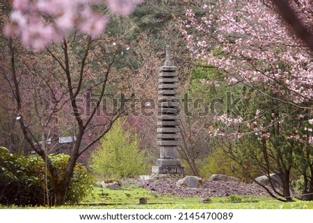 Stone 13-tiered pagoda in the Main Botanical Garden of the Russian Academy of Sciences. Japanese garden with pink flowers. spring nature. Picturesque landscape with blooming cherry trees Royalty-Free Stock Photo #2145470089