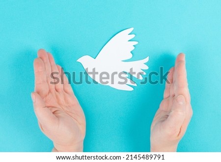 Holding a white dove in the hands, symbol of peace, paper cut out pigeon, copy space for text, blue colored background 