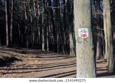 Marking a hiking trail on a tree