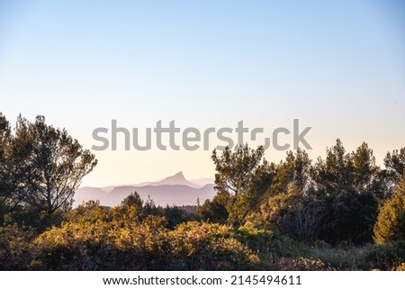 View of the Pic Saint Loup on a winter afternoon form the hill of La Liquière, Calvisson, Gard, South of France