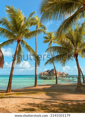 Tropical landscape with the palm trees, hammock, beach, overwater bungalow and turquoise water of the atoll of Tikehau, Tuamotu, French Polynesia, South Pacific Royalty-Free Stock Photo #2145501179