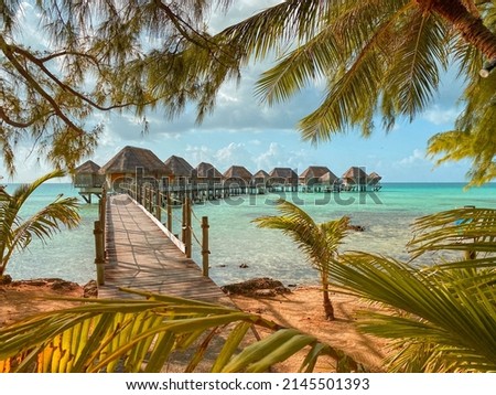 Tropical landscape with the palm trees, beach, overwater bungalow and turquoise water of the atoll of Tikehau, Tuamotu, French Polynesia, South Pacific Royalty-Free Stock Photo #2145501393