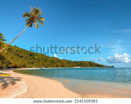 Beautiful tropical landscape of Matira Beach on Bora Bora island with the coconut palm trees, sandy beach, turquoise lagoon and the beautiful clouds sky, Tahiti, French Polynesia, South Pacific Royalty-Free Stock Photo #2145509381