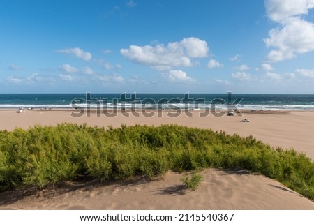 Panoramic view of the beach with selective focus on the dune bushes.