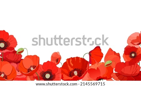 Poppy flowers. Horizontal background with red poppies flowers. Vector illustration Royalty-Free Stock Photo #2145569715