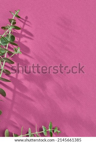 Leafs close-up on pink background