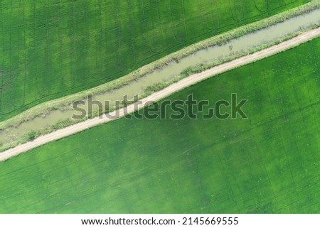 Green rice Fileds aerial view Thailand countryside