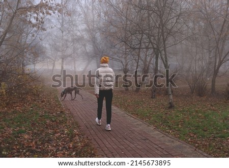 Young woman walking with her dog in autumnal city park. Misty park in the early morning. Smog in the city. Fall season. Royalty-Free Stock Photo #2145673895