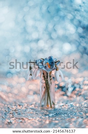 Close up of hand picked blue crocuses and white snowdrops in a tiny jar. Bokeh background from aluminum foil in the background