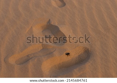 Sam Sand dunes in Thar Desert. Rajasthan, jaisalmer India