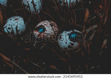 Easter poster and banner. bird's nest and egg on the grass