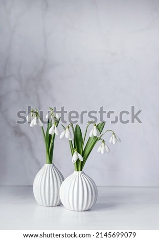 gentle snowdrop flowers in vase on table, abstract marble background. Blossoming white snowdrops, symbol of spring season. freshness aroma, harmony of nature