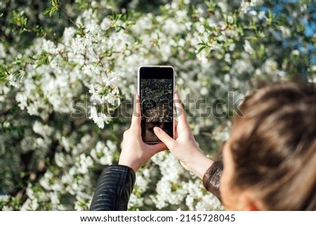 Female hand holding mobile phone and take photo blooming spring cherry trees in sunlight. Smartphone photo