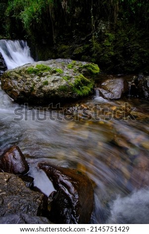 Beautiful landscape of inter-Andean forest where a stream of water runs that forms waterfalls and a small river.