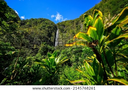 Waimoku Falls at the end of the Pipiwai Trail in the Haleakala National Park on the road to Hana, east of Maui island, Hawaii, United States Royalty-Free Stock Photo #2145768261