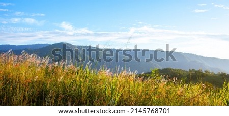 Mountains, flowers, grass and blue sky with white clouds. Background image for design. The concept of nature is bright.