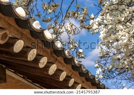 korean traditional building with the blooming magnolia tree
Oreung, Kyongju, South Korea 