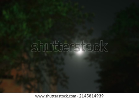 The moon on a dark night is blurred seen through trees. Blur background