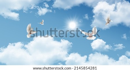 3d ceiling decoration image. Sky bottom up view. Beautiful sunny sky. Flying white doves. 