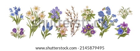 Spring flower drawings in vintage style. Hand-drawn botanical set with wild blooming floral plants with leaf, daffodils, pussywillow. Colored vector graphic illustrations isolated on white background Royalty-Free Stock Photo #2145879495