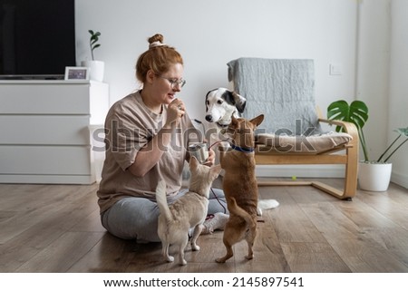 Woman plays with dogs and gives them dog biscuit .Moment of training dog. Teaching commands. Concept of raising domestic dog. Royalty-Free Stock Photo #2145897541