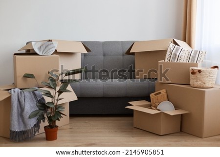 Indoor shot of apartment with lots cardboard boxes, gray sofa full of carton parcels with personal belongings, flower pot with flower on floor, relocating, moving in a new flat. Royalty-Free Stock Photo #2145905851