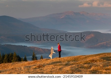 Girl resting with her siberian husky dog together outdoor with mountains on background. Human and animal friendship concept