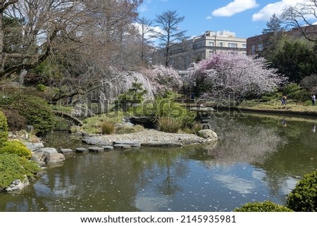 pond in a park with beautiful garden. spring in a park