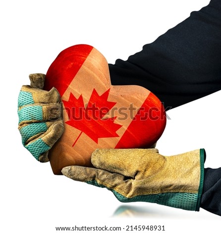 Manual worker with protective work gloves holding a brown wooden heart with the Canadian Flag painted on the surface, isolated on white background.