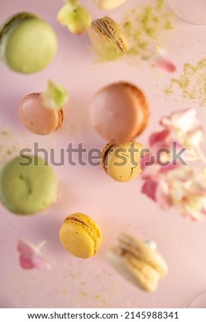 Macaron Sweets. Colorful Macaroons Flying with Flowers