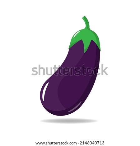 eggplant fresh vegetables isolated on white background, vector