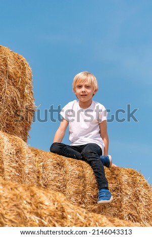 Portrait of fair-haired boy in white T-shirt on pile of dry hay on blue sky background. Summer holidays. Harvesting Royalty-Free Stock Photo #2146043313