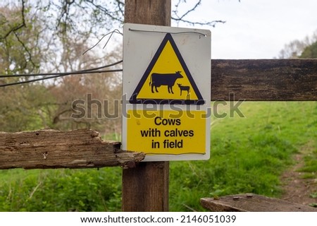 Farmers warning sign, cows with calves in field.