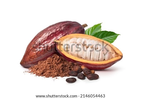 Cocoa powder with cocoa beans and pods isolated on white background. Royalty-Free Stock Photo #2146054463