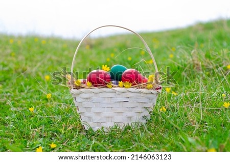 Easter egg basket on green grass on sunny day. Stock image 