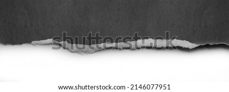 Ripped paper edge on white background, space for copy