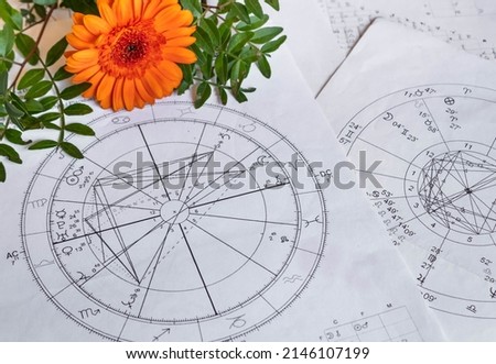 Printed astrology charts, gerbera and green plant branches  in the background