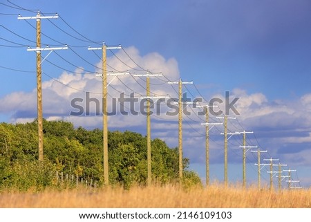 Rows of wood utility poles in Alberta, Canada. Royalty-Free Stock Photo #2146109103