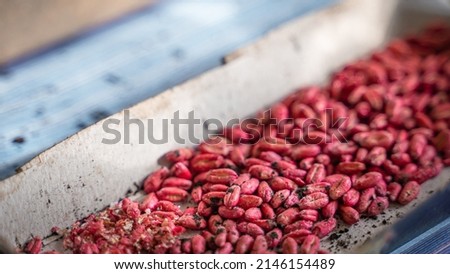 Wheat grains are poisoned with a bright red-pink poison from rodents. Poison for mice in a cardboard box Royalty-Free Stock Photo #2146154489