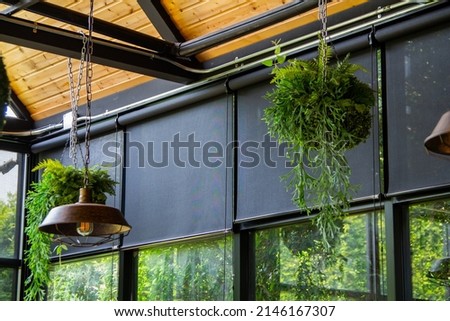 Black roller blind or curtains on the glass wall, Interior design with hanging green ferns. Royalty-Free Stock Photo #2146167307