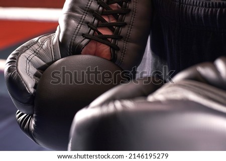 Image of boxing gloves. The concept of mixed martial arts. MMA