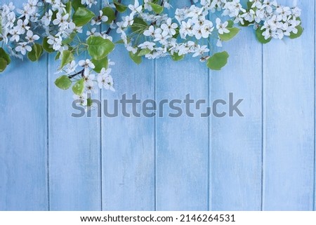 Beautiful spring tree blossoms against a peaceful blue rustic wooden background. Image shot from above in flat lay table top view. 