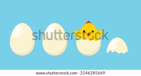 Hatching of a chick from an egg. Easter chick birth process. Easter. Vector illustration for design and print