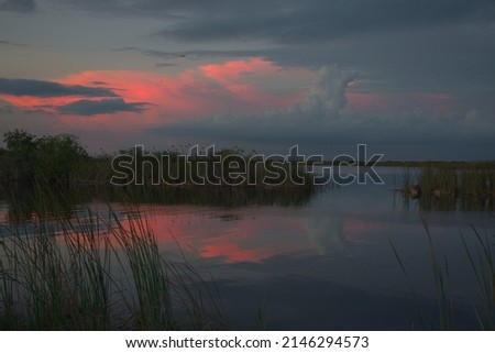 Submarine cloud in the pink swamp sky Royalty-Free Stock Photo #2146294573